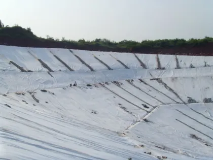Combine Geomembrane And Geotextile Composite Geotextile