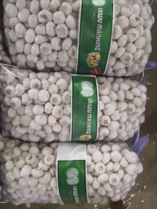 Organic natural garlic without pesticide