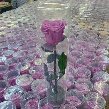 Long-Lasting Preserved Real Roses - Eternal Forever Flowers with Stems