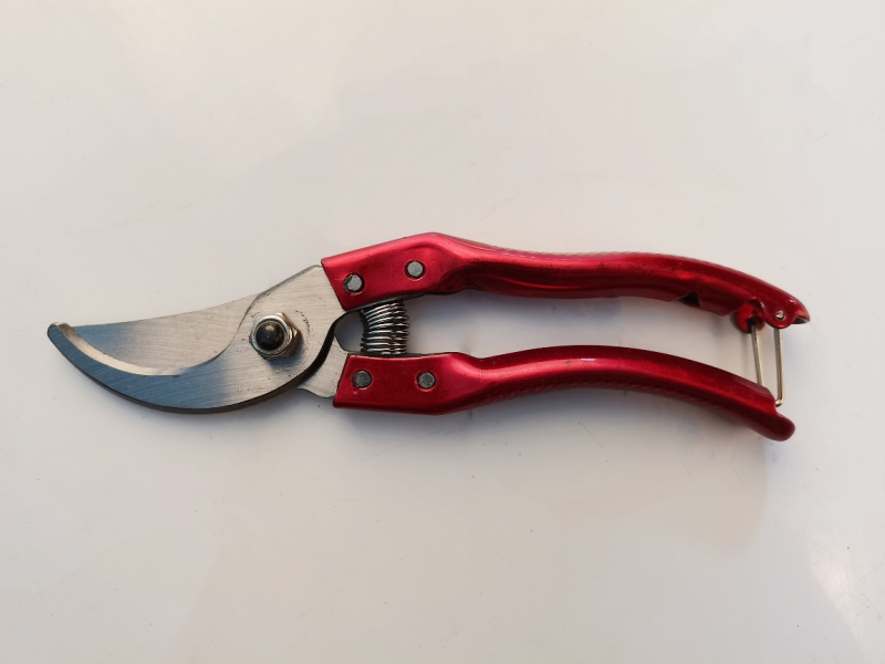 Factory Outlet SK5 Professional Bypass Pattern Pruning Garden Shear Hand Garden Tools