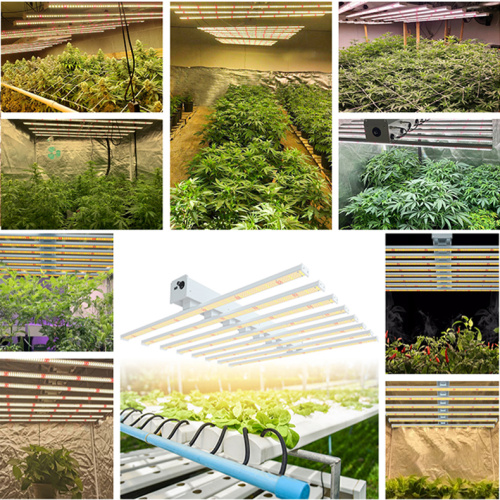 Vertical Farming Led Grow Light For Indoor