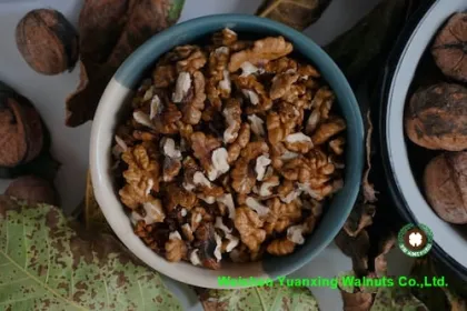 Sweet and Crispy Chinese Walnut kernels light amber