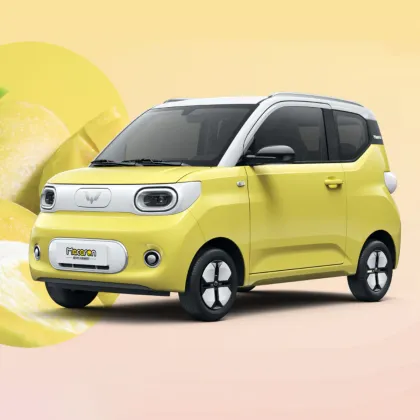 Search Mini Wuling Electric Car