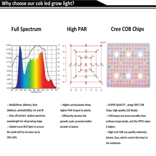 Greenhouse Led Plant Grow Light Cob 3000W