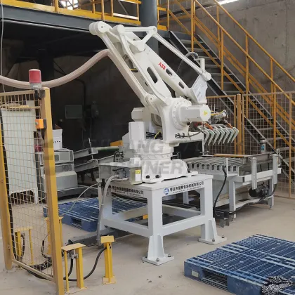 ABB Estun Palletizer Stacking Machine for Cement Bags and Carton Cases
