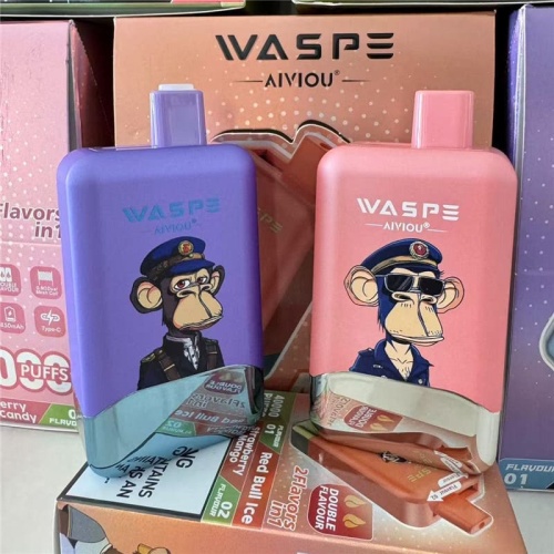 Good Vape WASPE 40000 Puffs Bulk Buy France