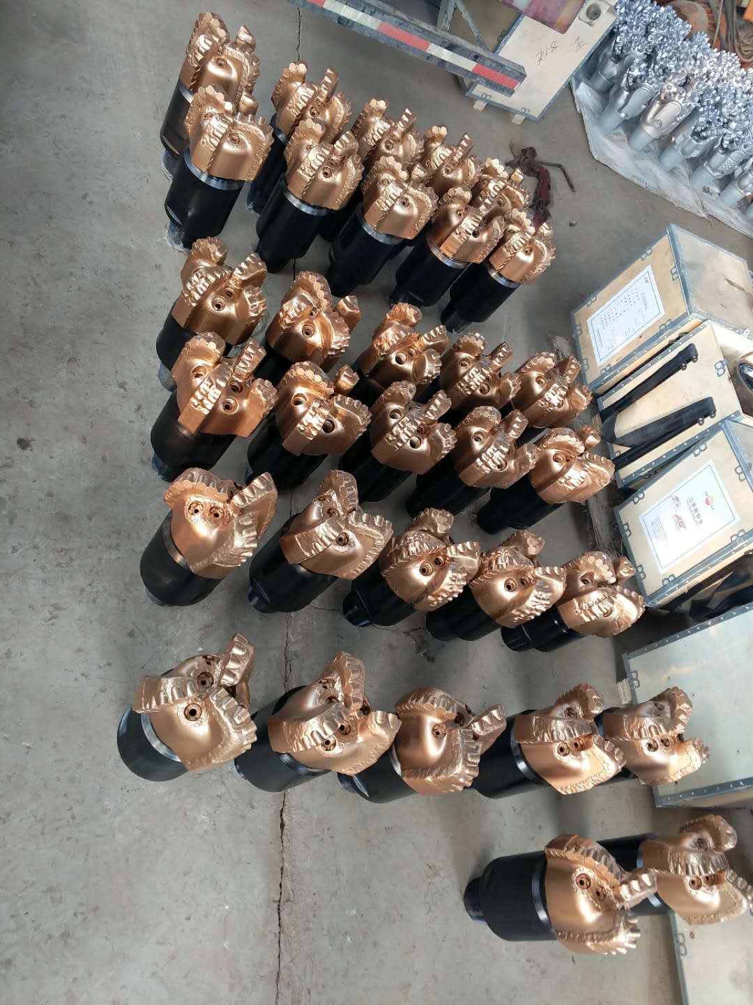 PDC drill bit 