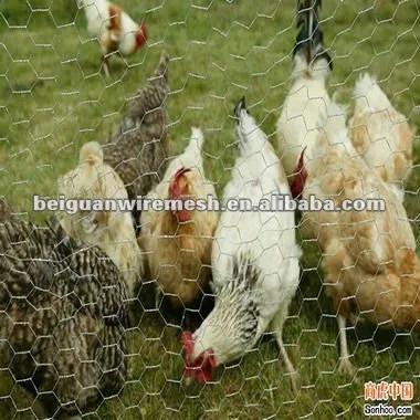 hot sales galvanized poultry wire netting manufacturer