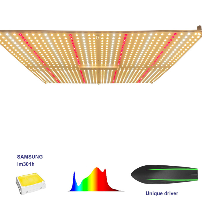 Wachsender LED -Licht für das Pflanzenwachstum