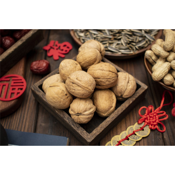 Best Quality walnut food Xiner