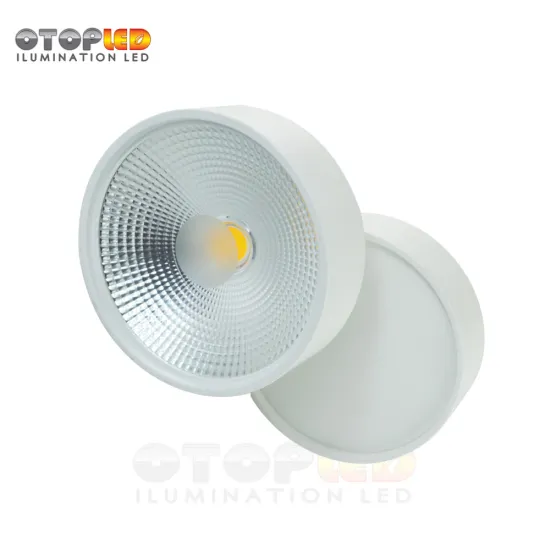 18W Surface Mount LED Down Light Ajustable