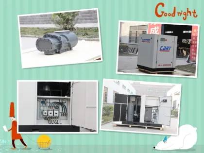 screw air compressor 22KW/30HP (Rotorcomp Air end)