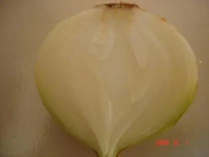 onions