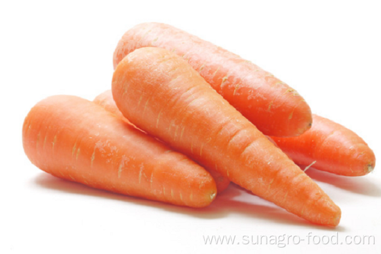 Fresh Carrots Are Popular