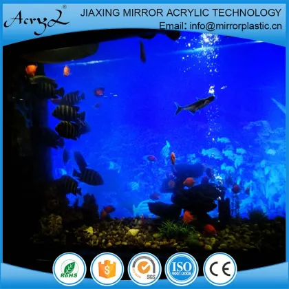 Acrylic Fish Tank in Ocean Park