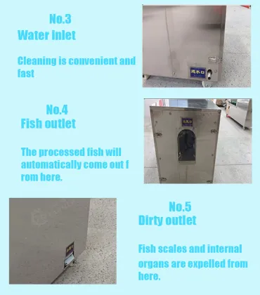 Commercial Automatic Open Belly Fish Killing Machine for Grilled Fish Shop
