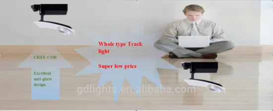 20W Whale type track light