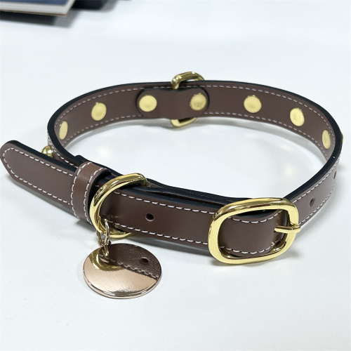 Brown Durable Pet Belt Leash