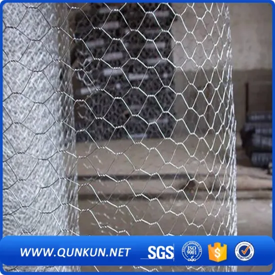 Pvc coated hexagonal wire mesh(professional factory)