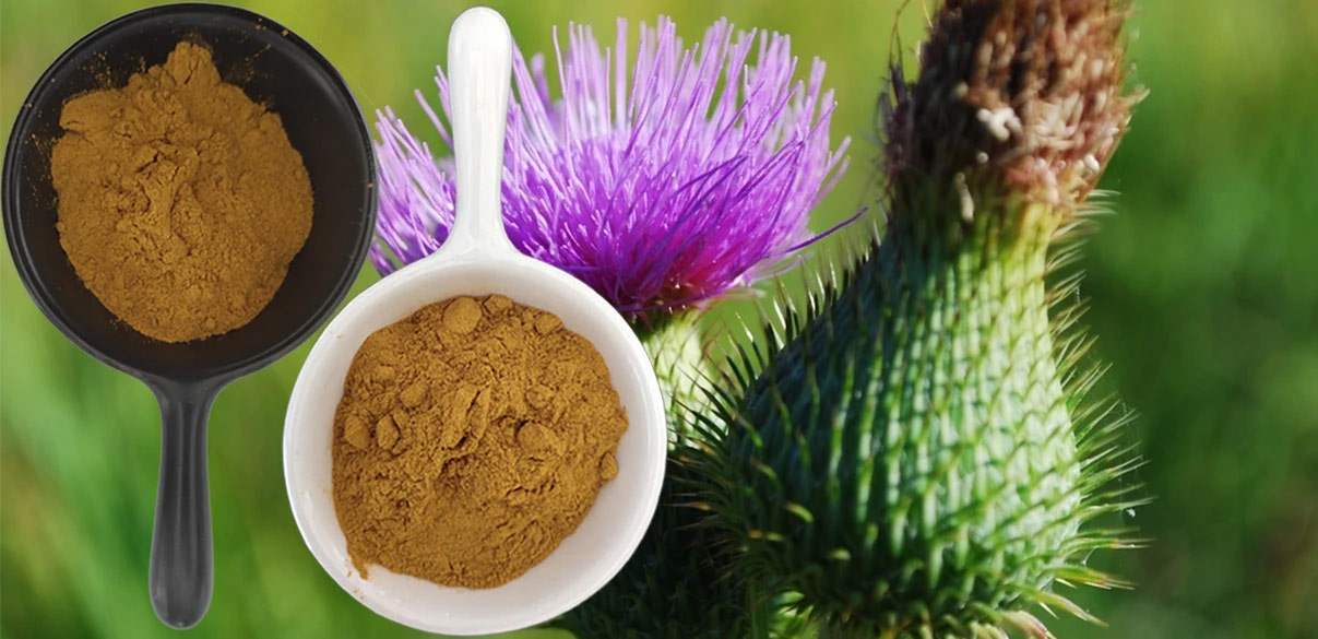 milk-thistle-extract3