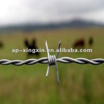 Fine Quality Hot-dipped Galvanized Razor Barbed Wire