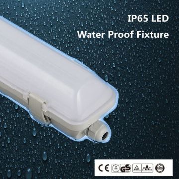 Double Tube IP65 Fluorescent luminaire fixtures