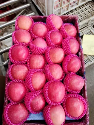 Good Quality Paper Bagged Fu Ji