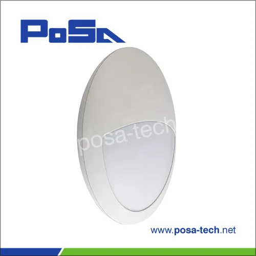 ip66 outdoor led wall light with microwave sensor (PS-ML20L)