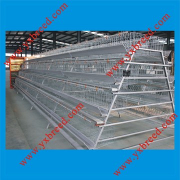 Battery Chicken Cage
