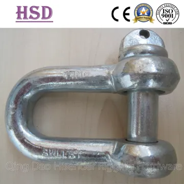 Shackle, D Type DIN82101, European Larg Dee Shackle, JIS D Type Shackle, Us Type Forged Shackle