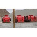 Advanced Technology Double Roller Crusher