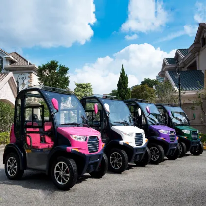 LVTONG 2 Seater Low Speed Electric Vehicle with Closed Doors