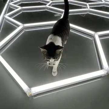 Deformable Honeycomb LED Garage Lighting
