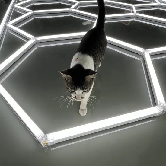 Deformable Honeycomb LED Garage Lighting