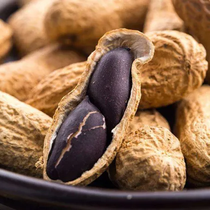 Organic Raw Black Color Skin Black Peanut Raw Peanut Nuts