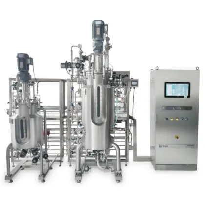 China Sell Well New Type Stainless Steel Bioreactor