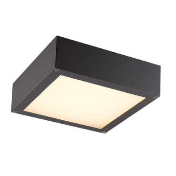 49xSMD Outdoor Ceiling Light 5489-LED