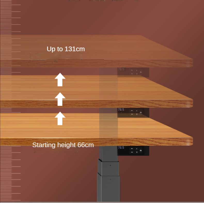 Dual Motor Adjustable Height Table