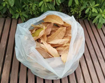 EN13432 Certified Biodegradable Garden Yard Large Waste Bags