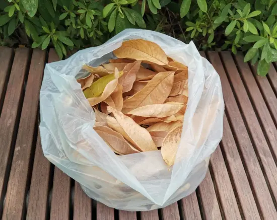 EN13432 Certified Biodegradable Garden Yard Large Waste Bags