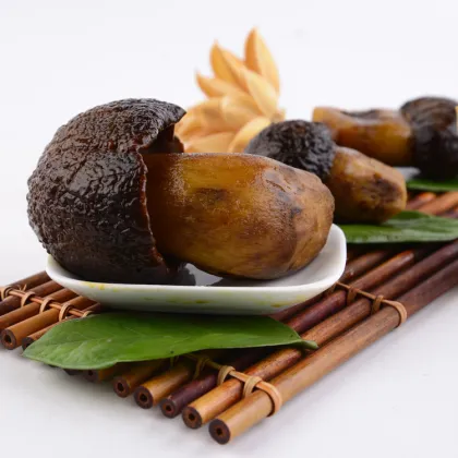 Wholesale Fresh Frozen Bullhead Mushroom