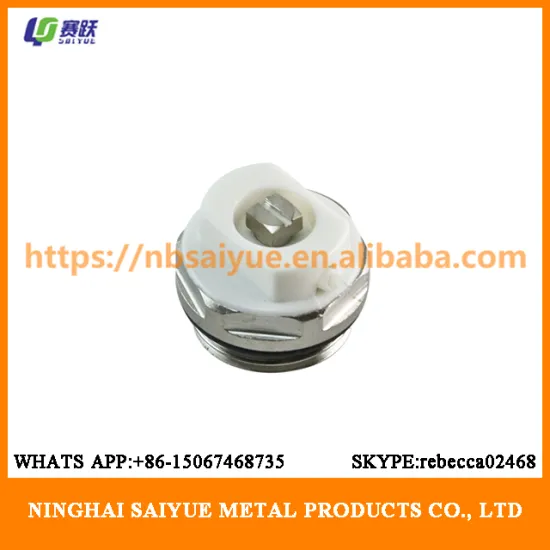 1/2,3/4 Air Vent radiator accessories