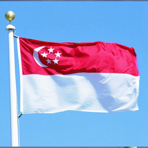 Polyester Material National Country Singapore Flag