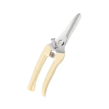Stainless Steel Branch Pruning Shears - Garden Tools for Fruit Scissors and Flower Cutting