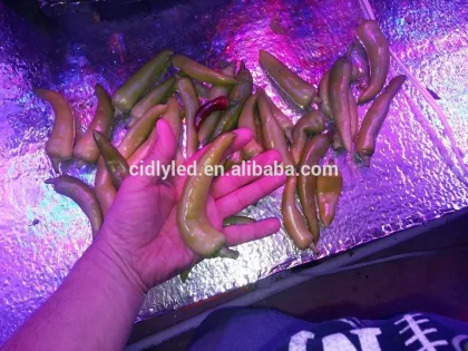 Hydroponic Grow Lights Complete hydroponic system hydroponic grow lights.