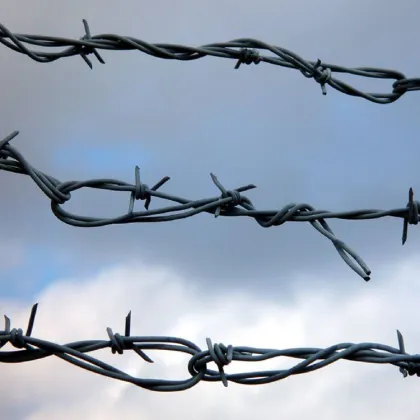 fake  sheffield barbed wire