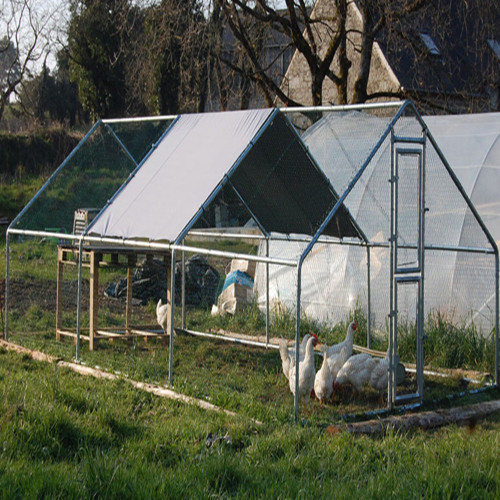 Hexagonal Mesh Chicken Cage House