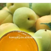 Fruit juice concentrate (pineapple juice/apple juice/pear juice)