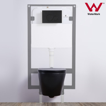 Wall Hung Toilet with Dual Flush Concealed Cistern