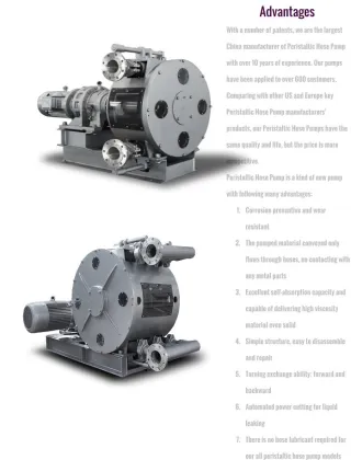 High pressure slurry Pump, Ash Slurry Pump, Mining Slurry Pump